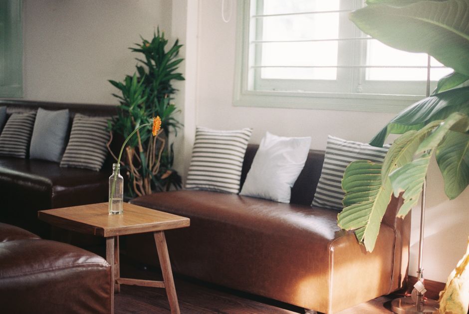 Inviting living room interior featuring leather sofa, plants, and a wooden coffee table with natural lighting.